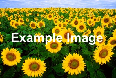 Fil:Test.jpg